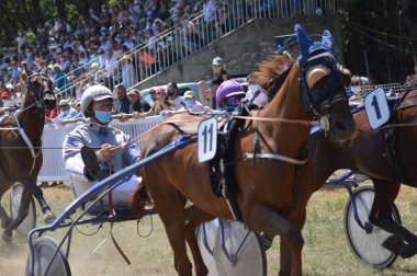 SAULT, FRANCE - Aug 09, 2020: 09 August 2020 Hippodrome a Sault ( South of France, The only horse race in the year ) clipart