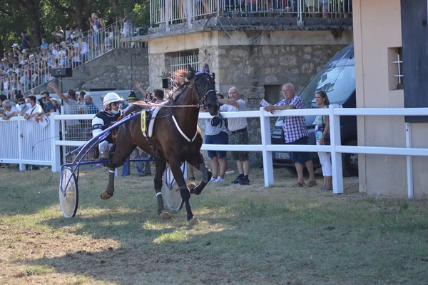 Sault Francie 2020 2020 Hippodrome Sault Jižní Francie Jediný Dostih — Stock fotografie