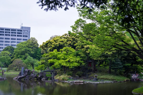 东京Koishikawa植物园一个被自然包围的池塘的美丽景色 — 图库照片