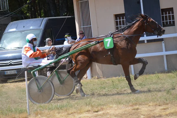 Sault Francia Ago 2020 Agosto 2020 Ippodromo Sault Sud Della — Foto Stock