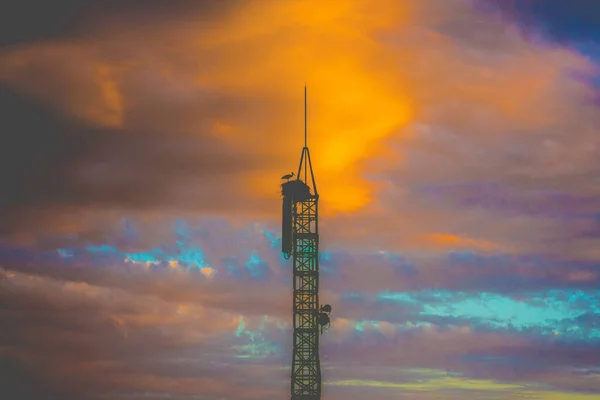 Una Cigüeña Con Nido Torre Bajo Cielo Llena Nubes Multicolores —  Fotos de Stock