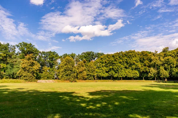 구름낀 잔디와 나무의 — 스톡 사진