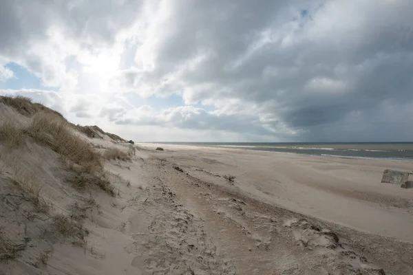 Uno Scenario Soleggiato Una Spiaggia Sabbiosa Bella Tranquilla — Foto Stock