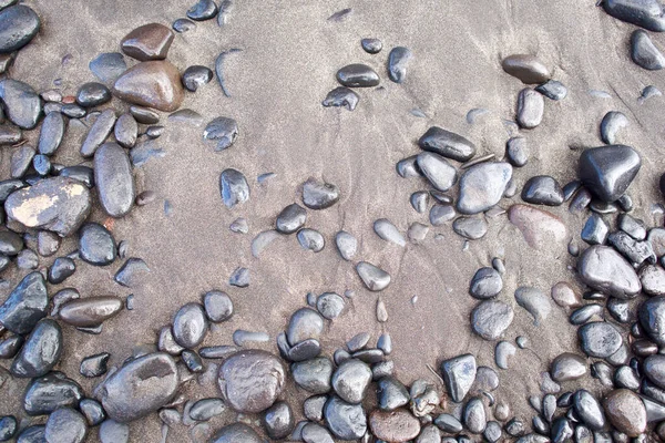 Vysoký Úhel Detailní Záběr Oblázků Mokrém Písku — Stock fotografie