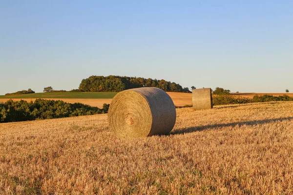 Una Hermosa Toma Fardos Heno Campo Agrícola — Foto de Stock