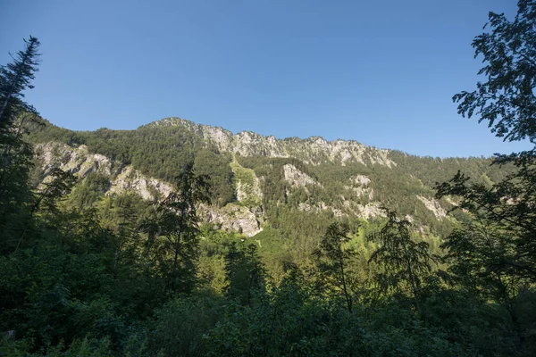 Colpo Panoramico Montagne Foresta Uno Sfondo Cielo Limpido — Foto Stock