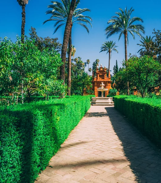 Hermosos Jardines Increíbles Alcázar Real Sevilla España — Foto de Stock