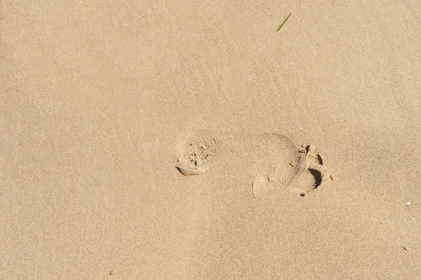 Een Voetafdruk Zandstrand — Stockfoto