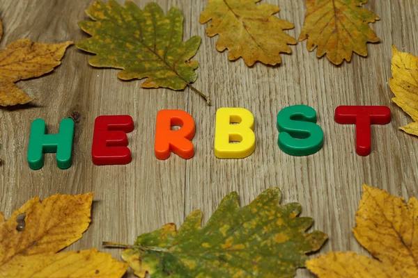 Eine Nahaufnahme Des Wortes Herbst Deutscher Sprache Aus Bunten Plastikbuchstaben — Stockfoto
