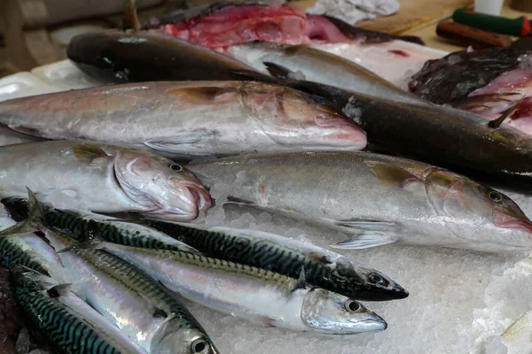 Een Close Shot Van Verschillende Zeevissen Een Vismarkt Kroatië — Stockfoto