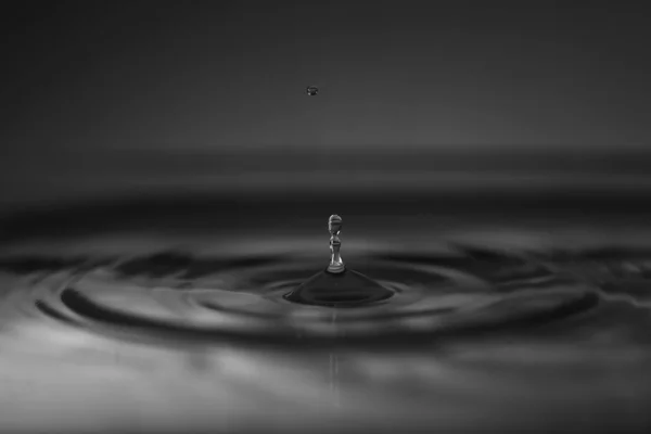 Ujęcie Skali Szarości Małej Kropli Wody Spadającej Powierzchnię Wody — Zdjęcie stockowe