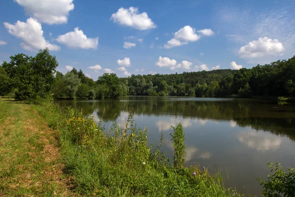 Uno Scenario Soleggiato Lago Riflettente Vicino Una Fitta Foresta Sotto — Foto Stock