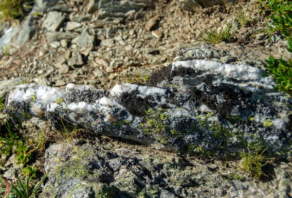 Närbild Naturlig Vägg Med Massor Stenar Jorden — Stockfoto