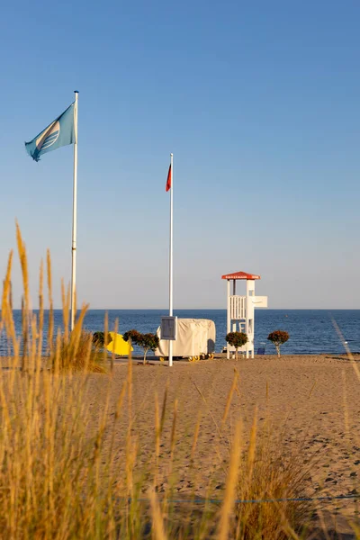 Plan Vertical Herbe Drapeaux Sur Plage — Photo