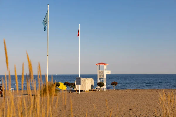 Gros Plan Herbe Drapeaux Sur Plage — Photo