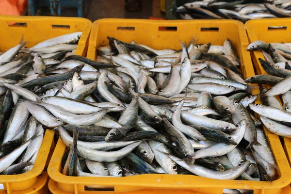 Uma Pilha Peixes Marinhos Caixas Num Mercado Peixe Croácia — Fotografia de Stock