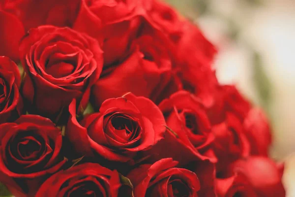 一张鲜红玫瑰的特写照片 — 图库照片