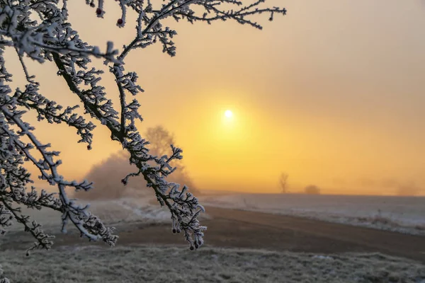 Piękny Zimowy Krajobraz Mroźny Poranek Wschodem Słońca Horyzoncie — Zdjęcie stockowe