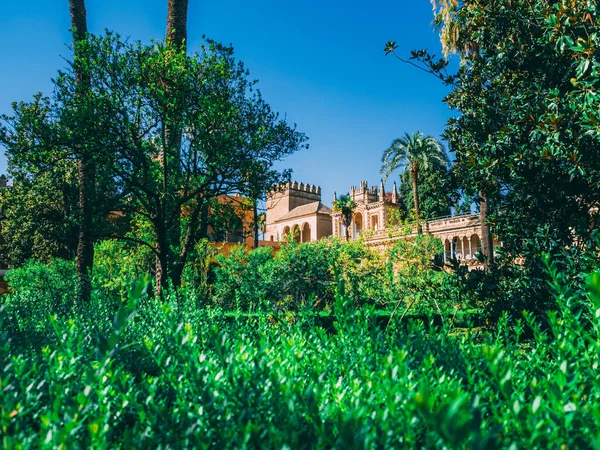 セビリアのロイヤル アルカサルの美しい庭園スペイン — ストック写真