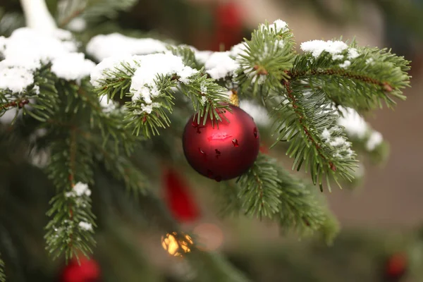 赤い玉で飾られた雪に覆われたクリスマスツリー — ストック写真
