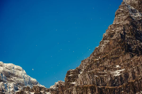 Een Betoverend Uitzicht Rotsachtige Bergen — Stockfoto