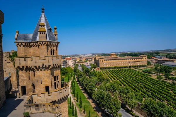 Disparo Gran Angular Plantaciones Cerca Castillo Navarra España —  Fotos de Stock