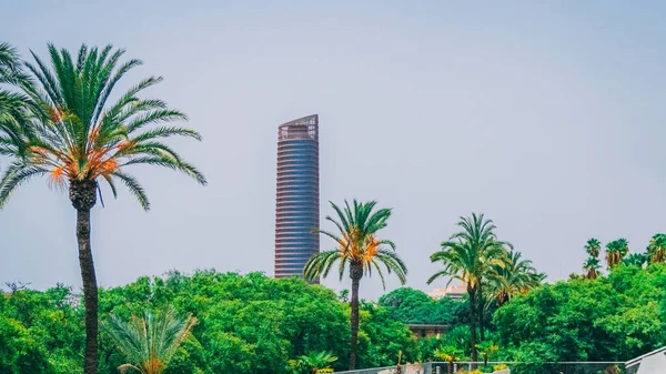 Torre Pelli Tower Seville Spain — Stock Photo, Image