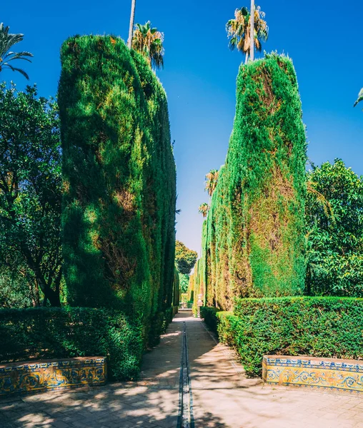 位于西班牙塞维利亚的皇家阿尔卡萨的一个美丽而迷人的花园 — 图库照片