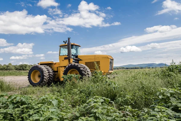 Grand Tracteur Jaune Sur Champ Tournesol Maïs Ciel Nuageux Bleu — Photo