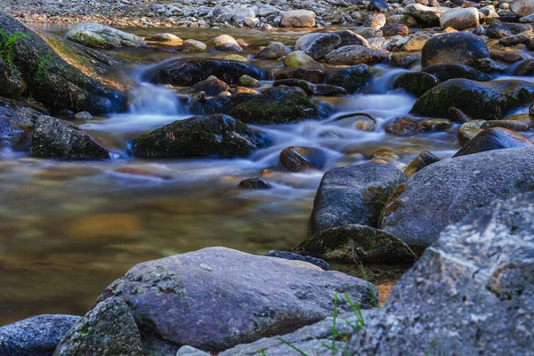 Krásný Záběr Řeku Skalami Lese — Stock fotografie