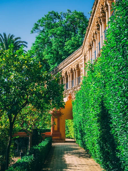 Beautiful Amazing Gardens Royal Alcazar Seville Spagna — Foto Stock