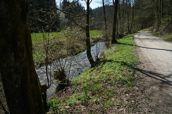 Das Fließende Wasser Entlang Der Straße Wald — Stockfoto