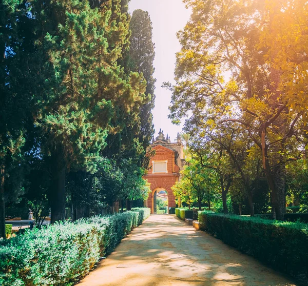 Ein Wunderschöner Garten Königlichen Alcazar Sevilla Spanien — Stockfoto