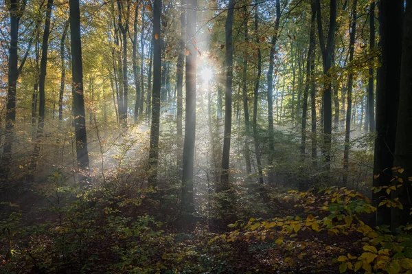 Βουνά Του Odenwald Είναι Πολύ Πολύχρωμα Φθινόπωρο Ακόμη Και Ένα — Φωτογραφία Αρχείου