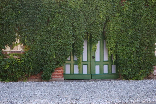 Зеленая Белая Дверь Дома Стенами Покрытыми Растениями — стоковое фото