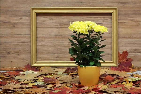 Primer Plano Flores Amarillas Una Maceta Sobre Hojas Otoño — Foto de Stock