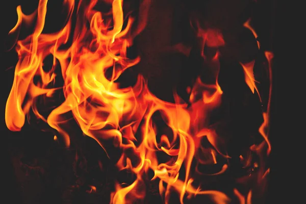 黒い背景に隔離された燃えさかる炎のクローズアップショット — ストック写真