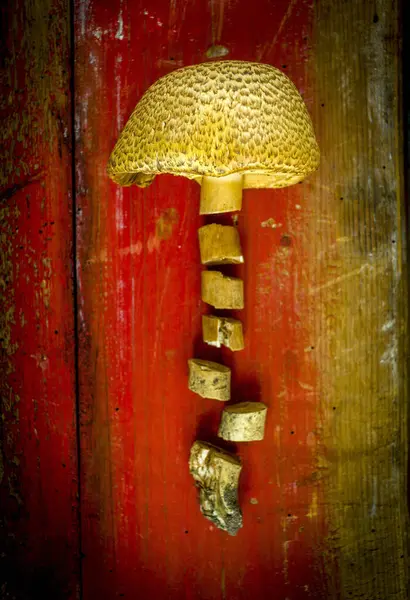 Tiro Vista Superior Cogumelo Amarelo Fatiado Uma Superfície Madeira — Fotografia de Stock