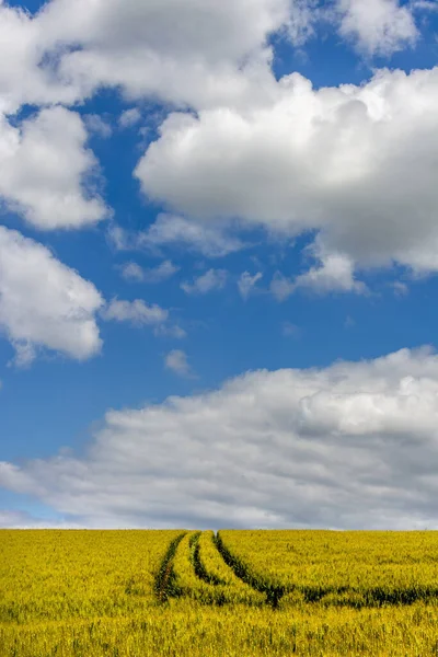 Eine Schöne Landschaft Von Spuren Einem Weizenfeld Frankreich Unter Einem — Stockfoto