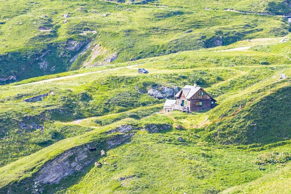 Een Hoge Hoek Opname Van Een Huis Een Veld — Stockfoto