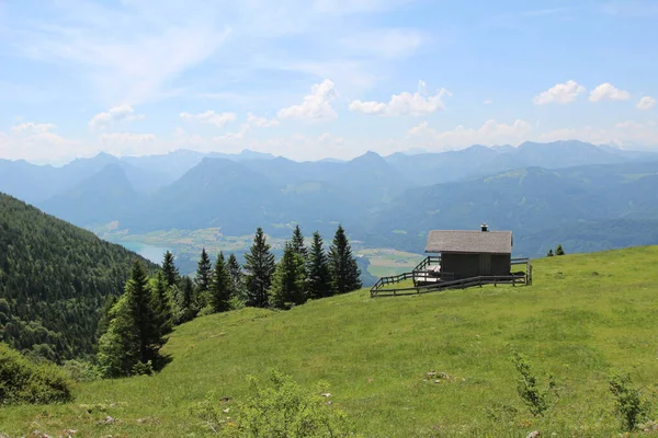 Prado Alpino Área Schafberg Alpes Austríacos — Fotografia de Stock