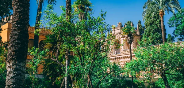 Hermosos Jardines Increíbles Alcázar Real Sevilla España — Foto de Stock