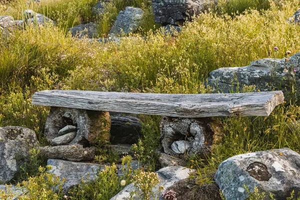 自然の中で木製のベンチのクローズアップショット — ストック写真