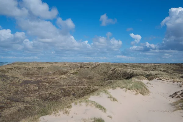 Colpo Panoramico Della Spiaggia Sabbiosa Uno Sfondo Nuvoloso Giorno — Foto Stock