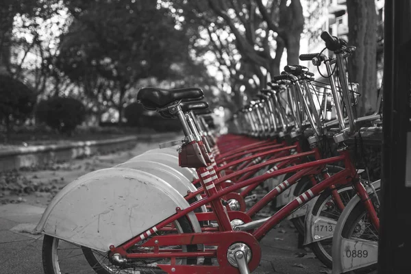 Rad Röda Cyklar Grå Skala Bakgrund — Stockfoto