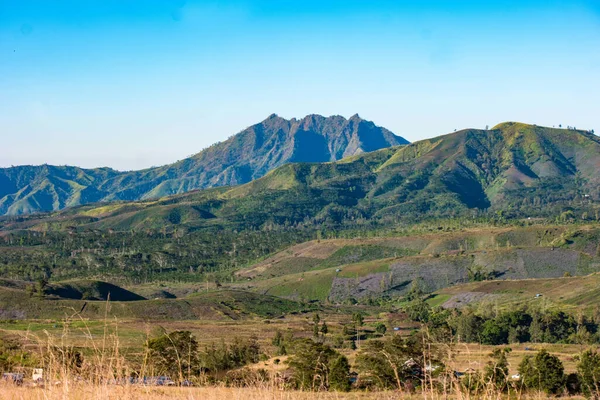 Uma Paisagem Montanha Inclinada Com Gramíneas Árvores Dia Ensolarado — Fotografia de Stock