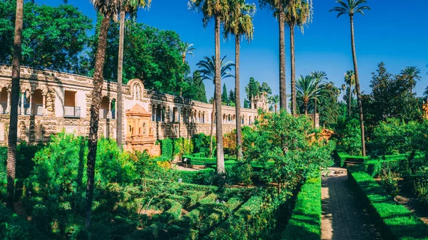 Hermosos Jardines Increíbles Alcázar Real Sevilla España — Foto de Stock