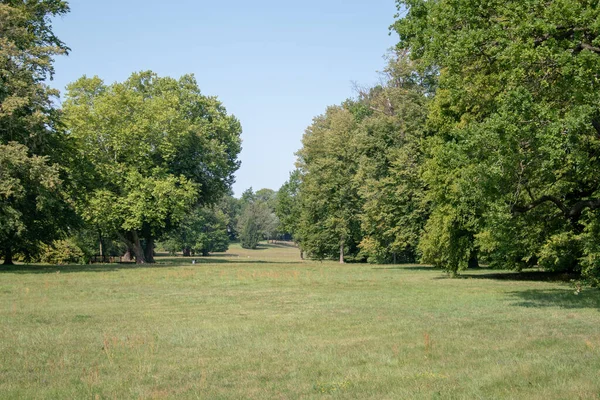 Een Prachtig Shot Van Een Veld Omringd Door Bomen — Stockfoto