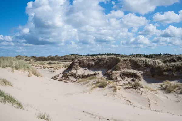 Een Panoramisch Shot Van Zandkust Een Bewolkte Dag Achtergrond — Stockfoto