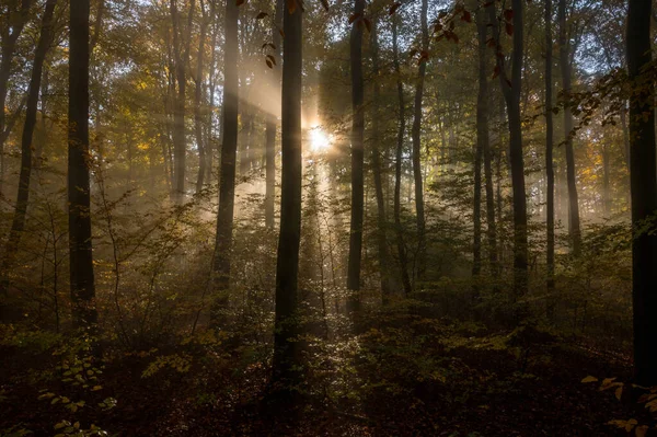 Βουνά Του Odenwald Είναι Φθινόπωρο Πολύ Πολύχρωμα Αλλά Έχει Ομίχλη — Φωτογραφία Αρχείου